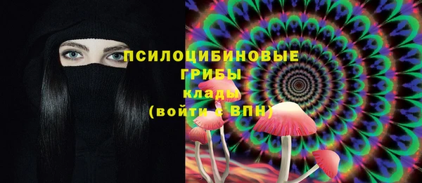 таблы Инта