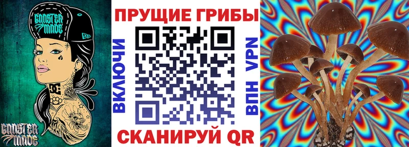 Купить где  Лодейное Поле  Псилоцибиновые грибы мухоморы 